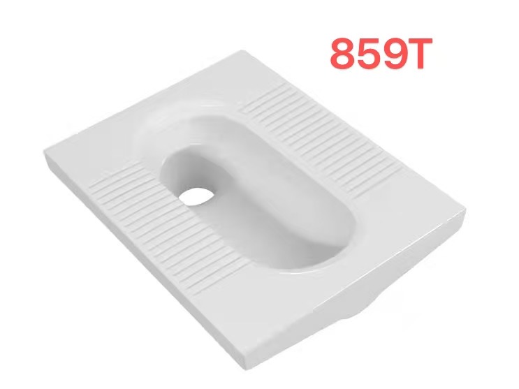 859T Squat Toilet