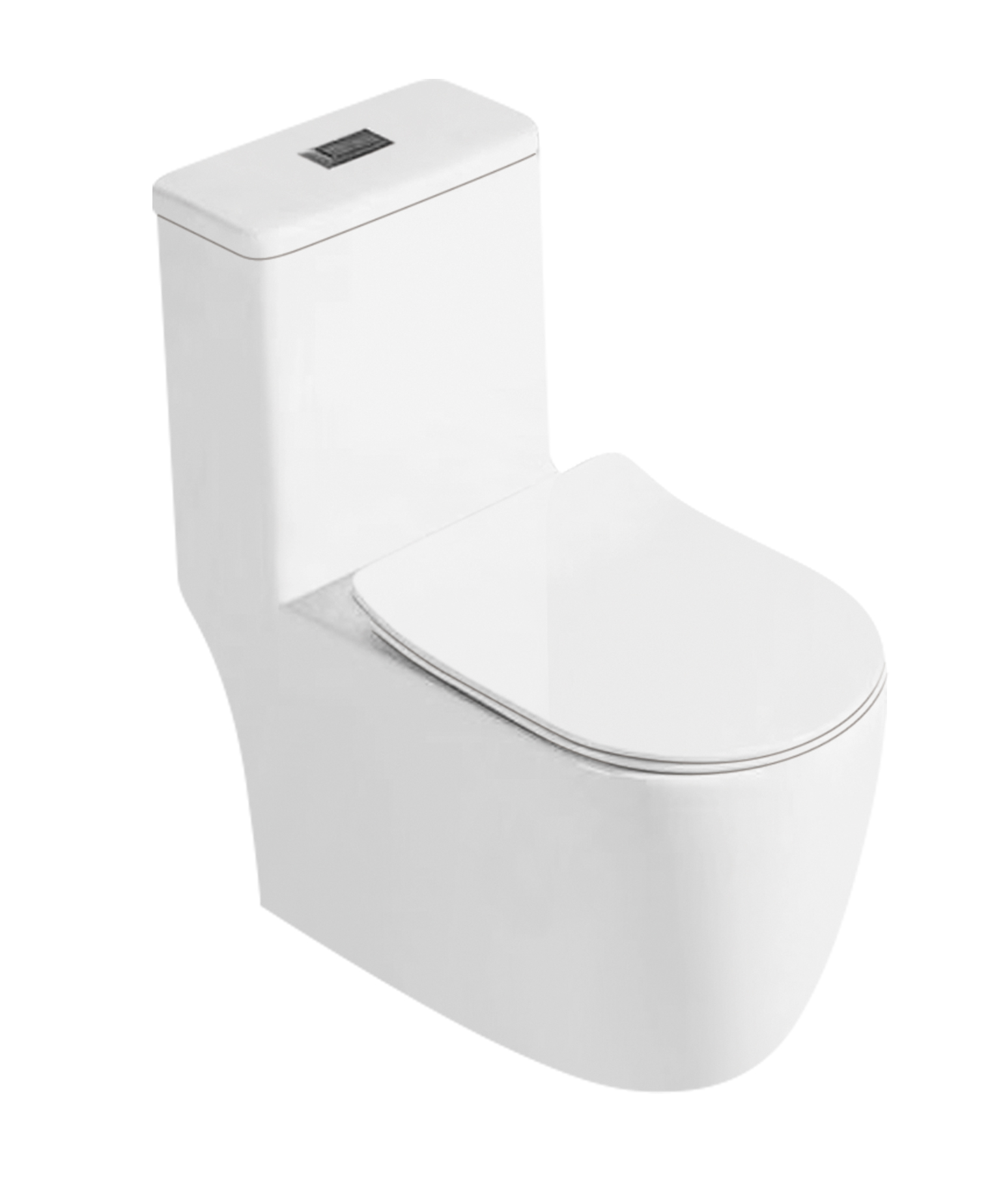 6618S Toilets