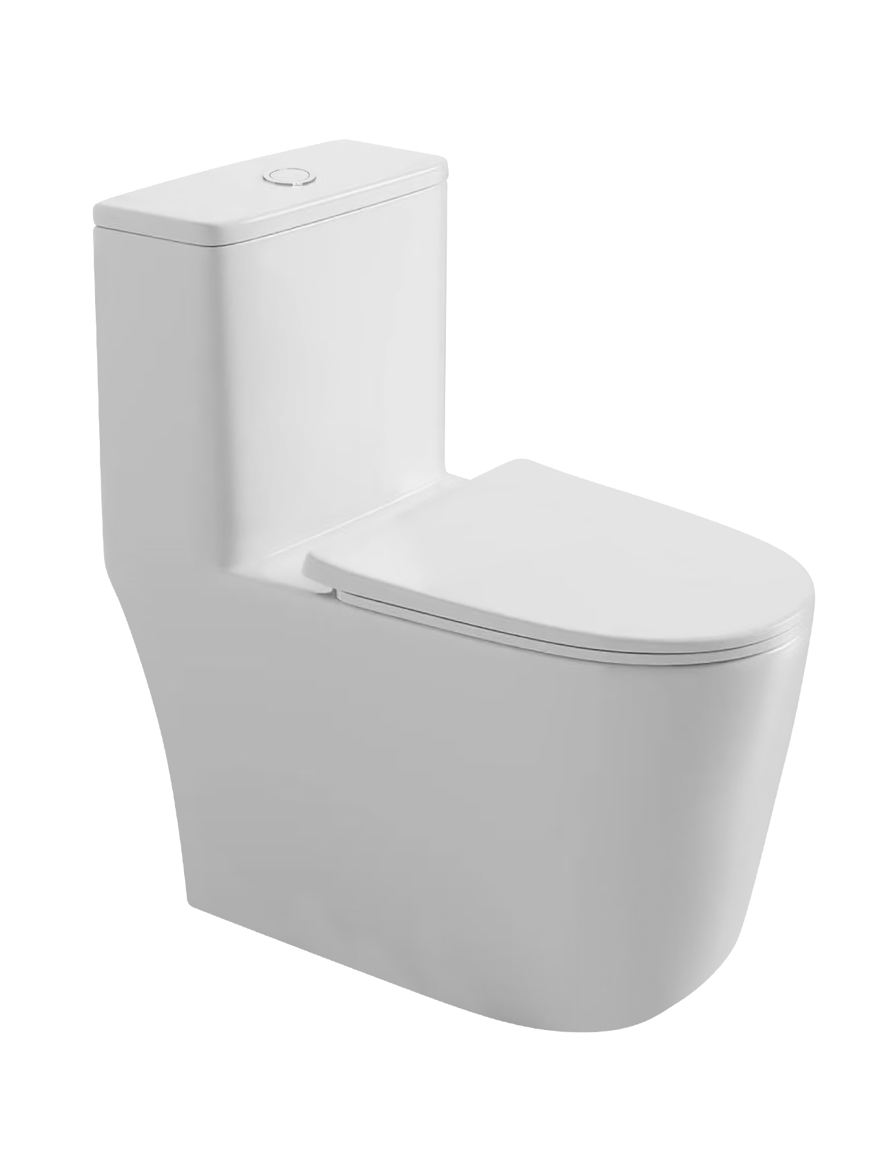 6655T Toilet