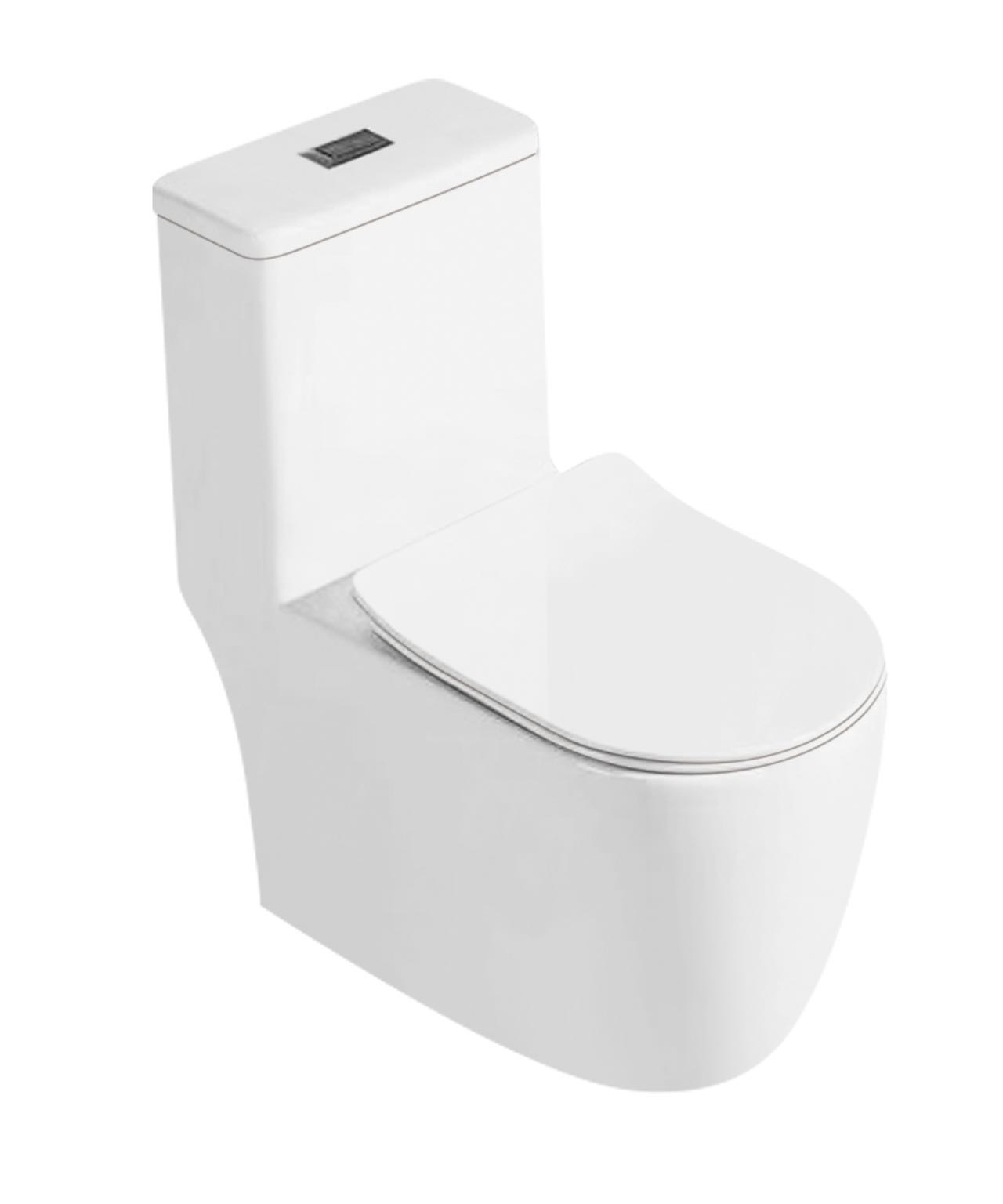 6648 Toilet