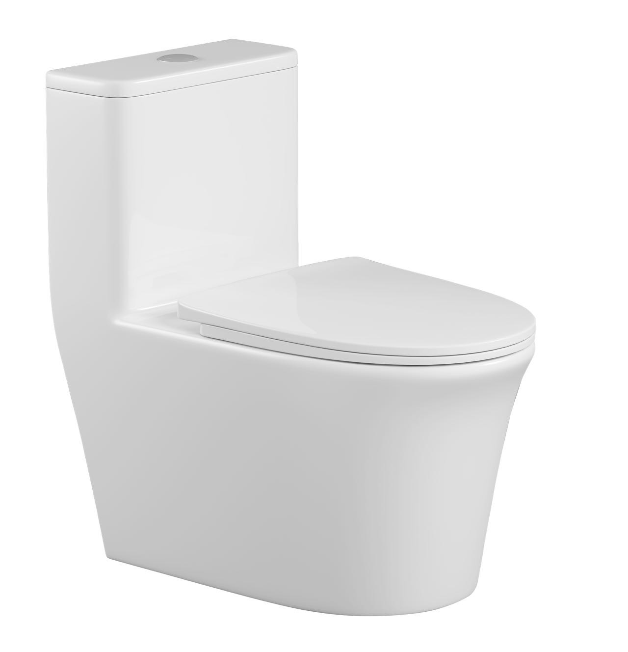 6616 Toilet