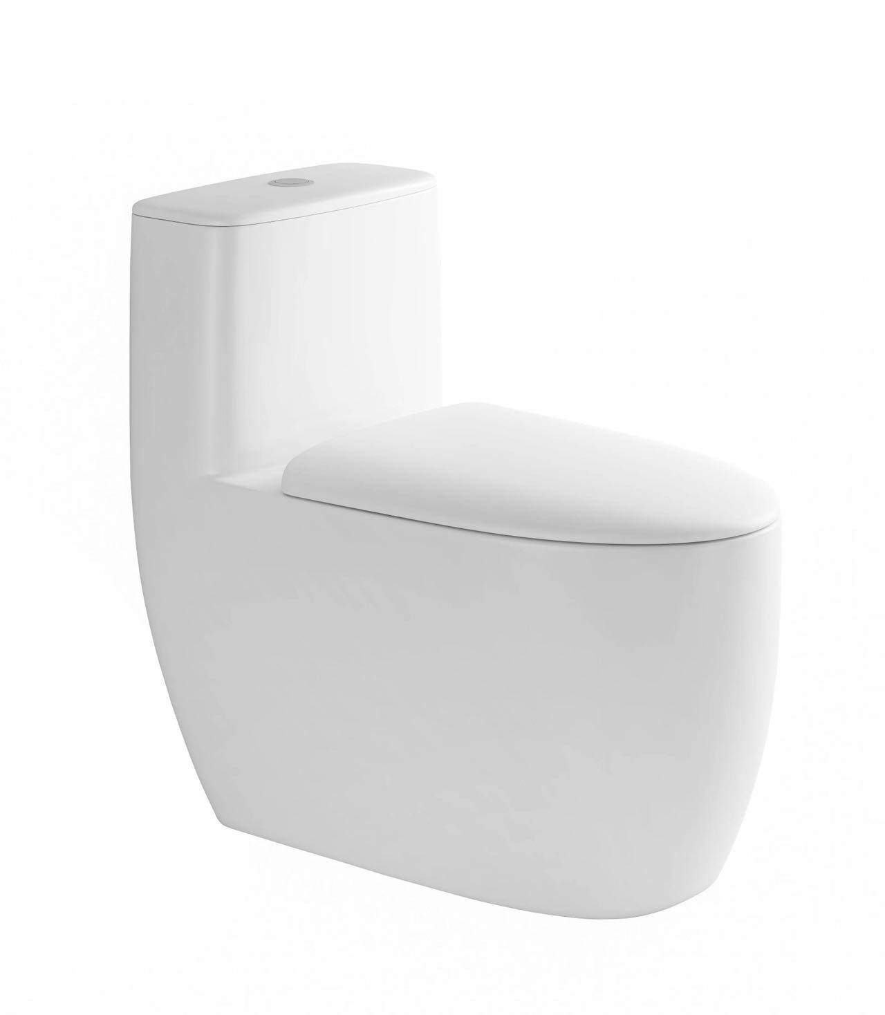 6688H Toilet