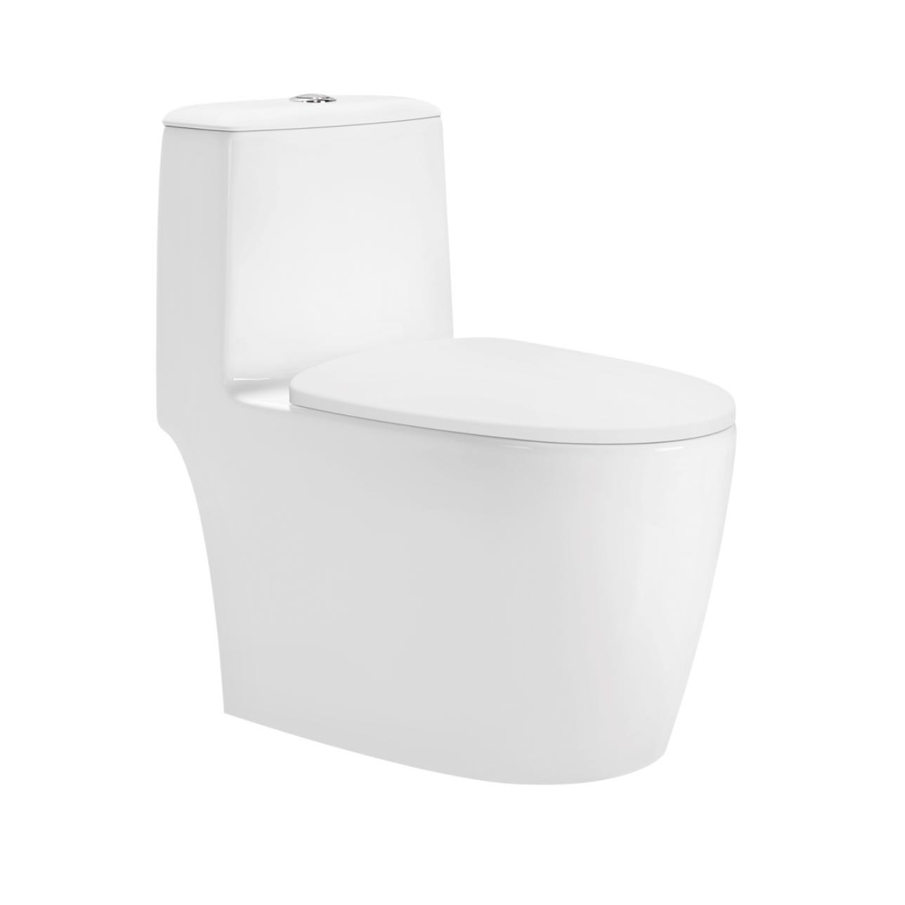 6689 Toilet