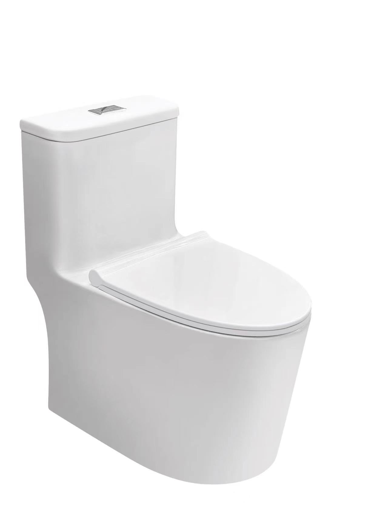 6618 Toilet