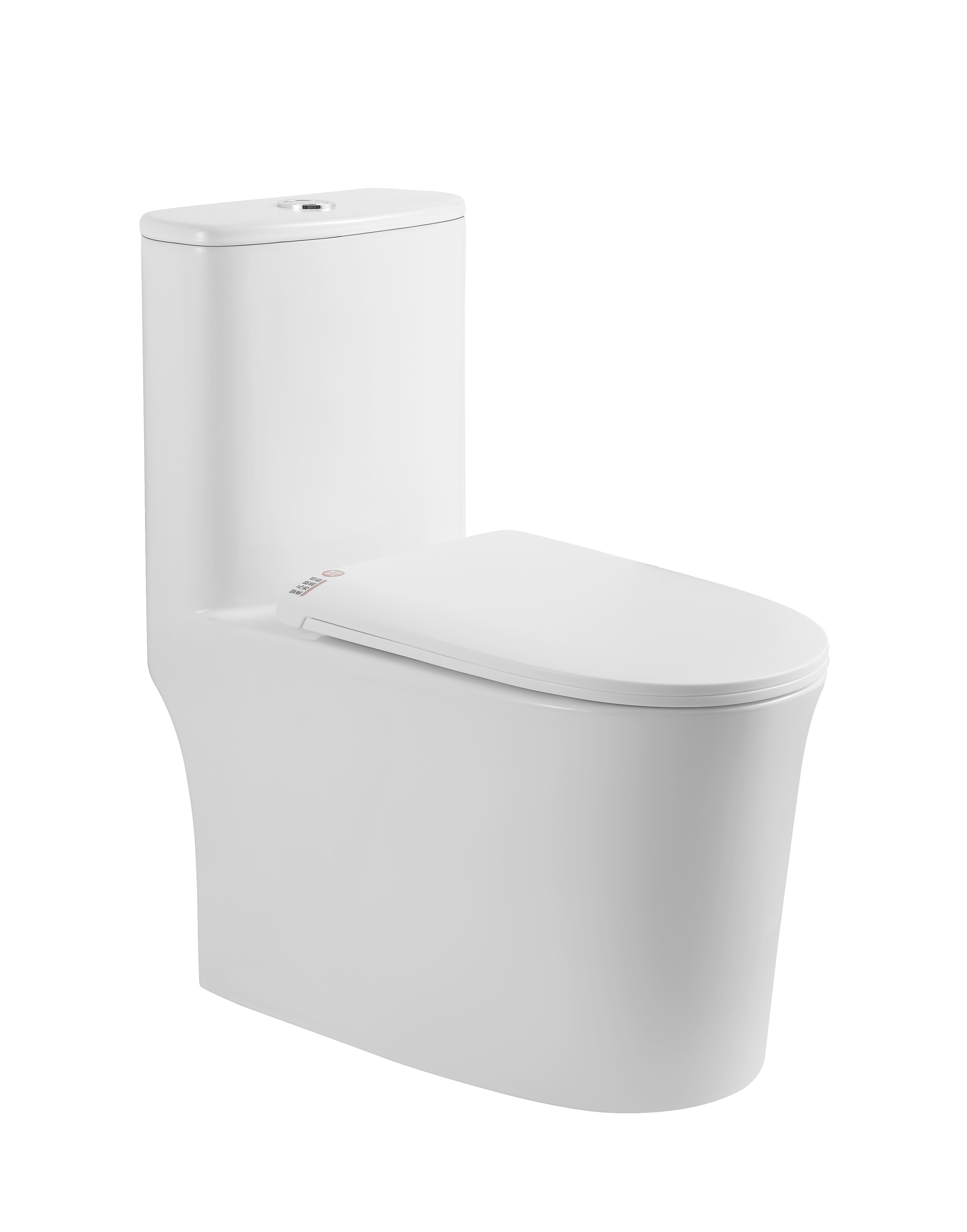 6073 Toilet