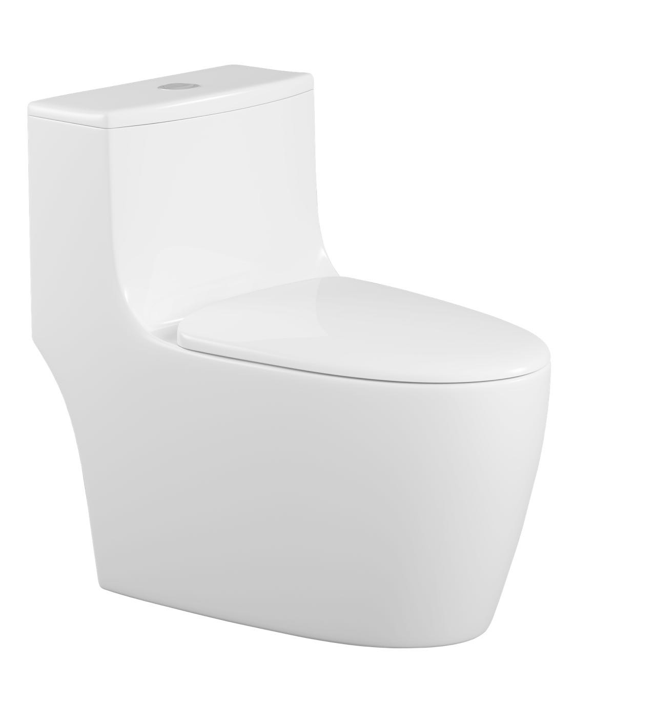 6677 Toilet